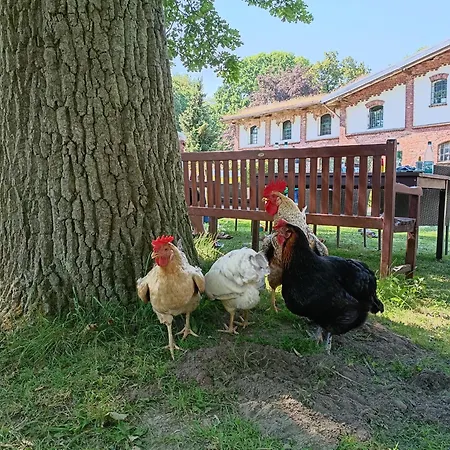 Ferien Am Schloss - 4 